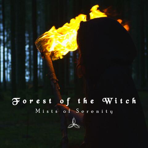 Forest of the Witch