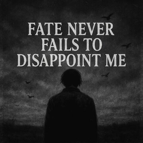 FATE NEVER FAILS TO DISAPPOINT ME