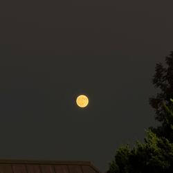 Love (feat. Internet creep)