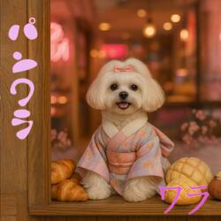 パンワラ 【Pan Walla】