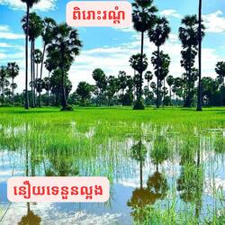 នឿយទេនួនល្អង(ពិរោះណាស់):គីម ស្រ៊ុន