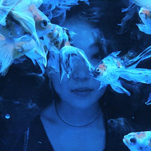 i dont want flowers (remixes)