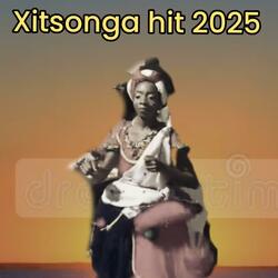 Xitsonga xibelani mix 2025 (Mindzilo ya seletela)