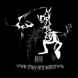 i think they are watching