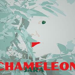 Chameleon