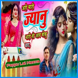 अरी मारी ज्यानु थारी तो आव मोकु याद