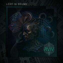 Lost In Sound