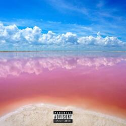 The Malibu Fantasy (feat. T.R.I.P)