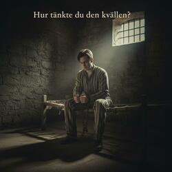 Hur tänkte du den kvällen?