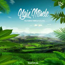 Ngiz'misele (feat. Therealfana rsa)