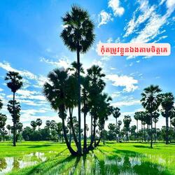 កុំតម្រូវខ្លួនយើងតាមចិត្តគេ