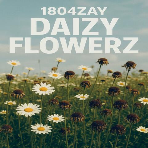 daizy flowerz