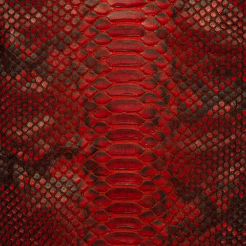 Snake Skin (YouLikeThat?)