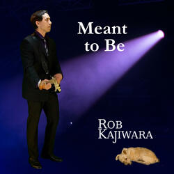 Meant to Be (English Version)