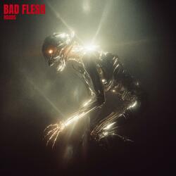 BAD FLESH
