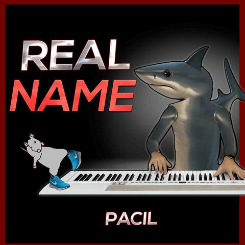 REAL NAME of MEME SONGS (part 3)