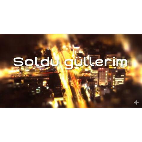 Soldu güllerim
