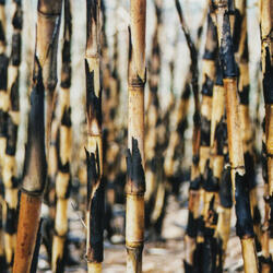 Room 29 / Awkwardosity (031 demo)