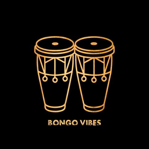 Bongo Vibes (Afro House)