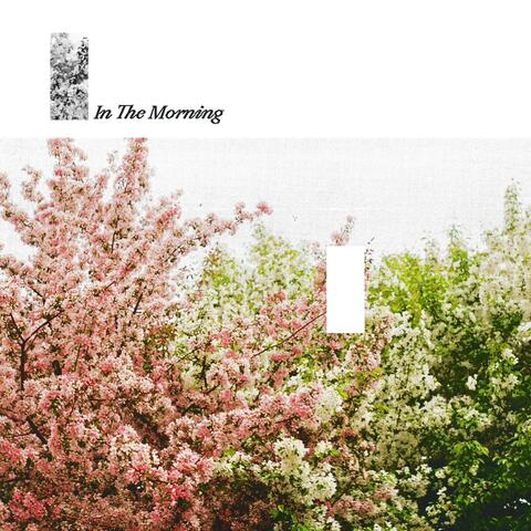 In The Morning