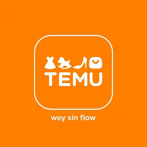 Artista Temu