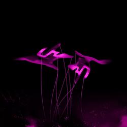 Coda: Grave ("Only to Watch It Fade Away")