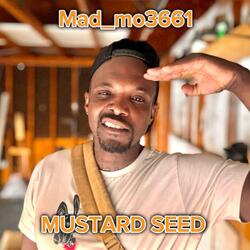 A Mustard Seed