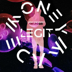 Dont You Worry (feat. OMJiggs)