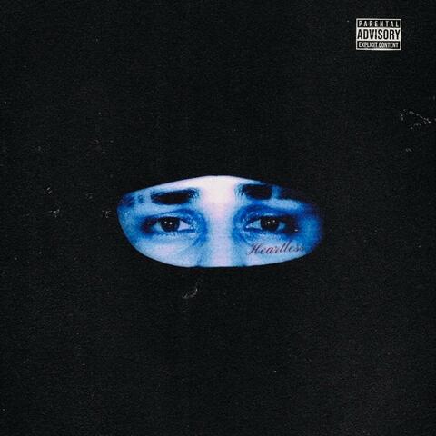 Night Owls Collection