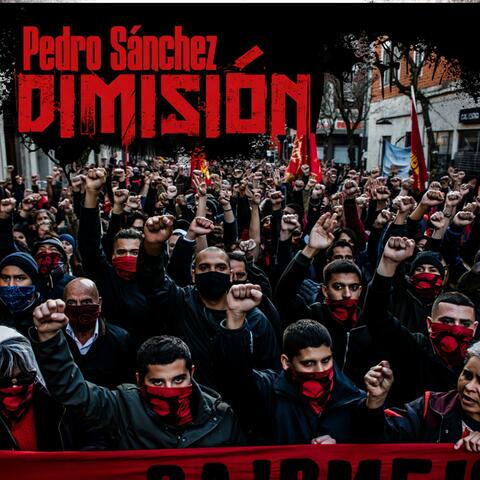 Pedro Sánchez Dimisión
