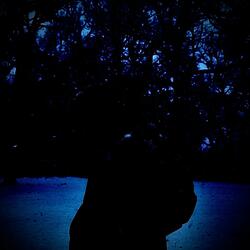 inmyarms