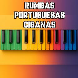Rumba Portuguesa Maya dos Bambos indiana 2k25