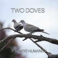 Two Doves