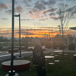 Lets get vibey (feat. Loafed Up)