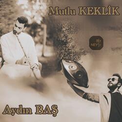 Yol