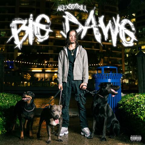 Big Dawg