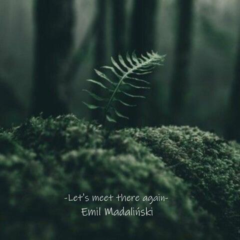 Let's meet there again