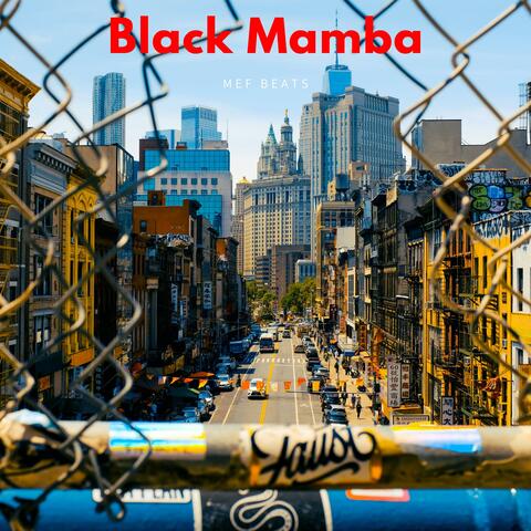 Black Mamba