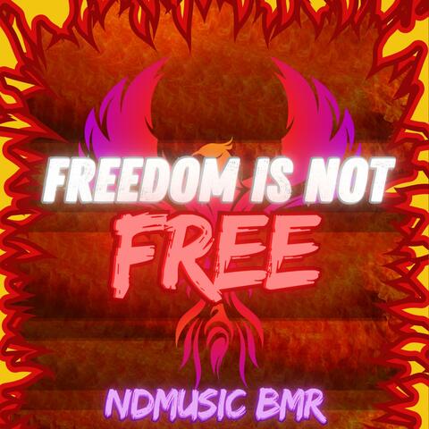 Freedom Is Not Free