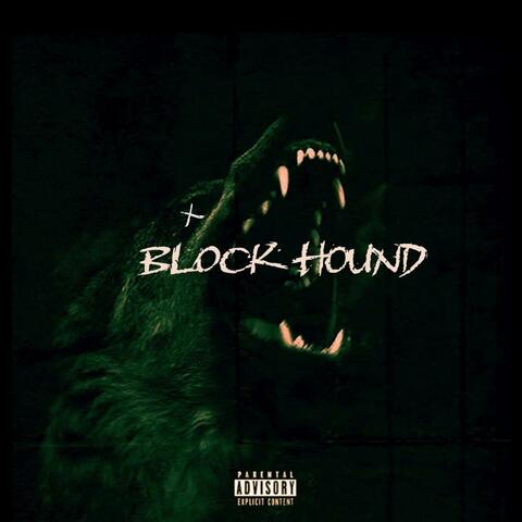 BlockHound