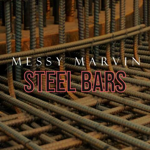 STEEL BARS
