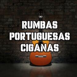 rumbas ciganas josele temamazo oleee que ritmo buenooo