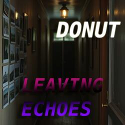Leaving echoes