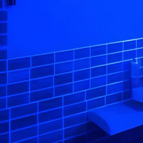 bathroom at a party