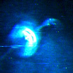 fluorescence (sped up)