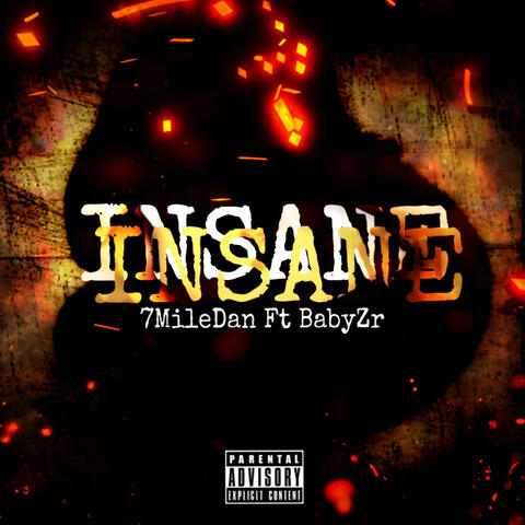 INSANE (feat. Babyzr)