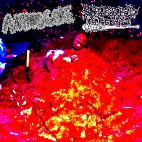 Split With Anthrogore