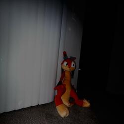 carl jung daxter