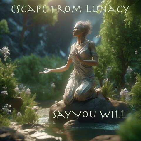 Say You Will