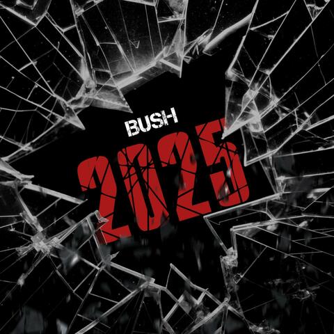 2025